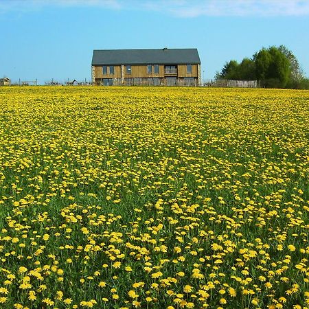 Chambres D'Hotes Les Trappeurs Silence & Nature Tenneville Exterior photo